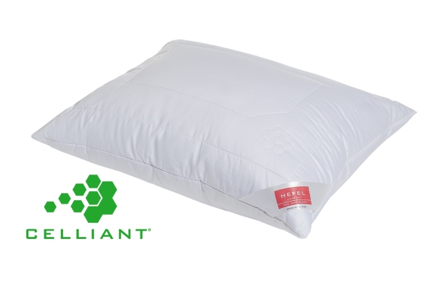 Pagalvė Wellness Retreat