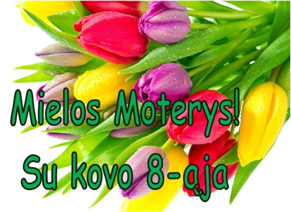 Visoms prekėms -25% iki kovo 8d, su kodu KOVO8